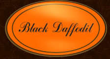 BLACK DAFFODIL   OSTRICH